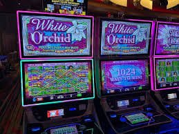 betpro360 Live Casino